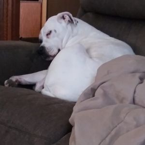 Meet your Posher, Donna